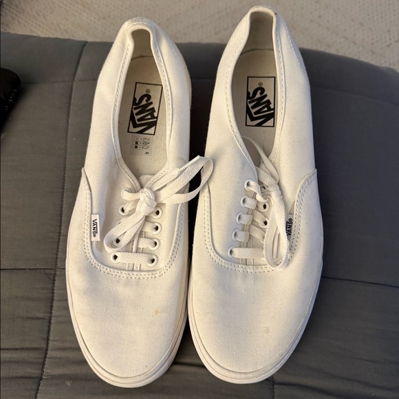 Vans Other - Men’s Vans Size 10.5